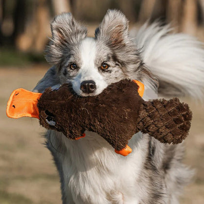 Jouet pour chien Strong Teddy Guard