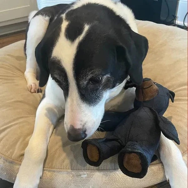Jouet Couineur Amusant pour Chien en Peluche