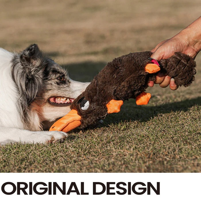 Jouet pour chien Strong Teddy Guard