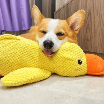 Jouet pour chien canard en caoutchouc durable avec couineur