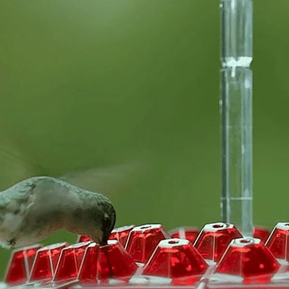 Vibrant Glass Hummingbird Feeder with Integrated Ant Moat | Easy Clean Design for Uncontaminated Nectar