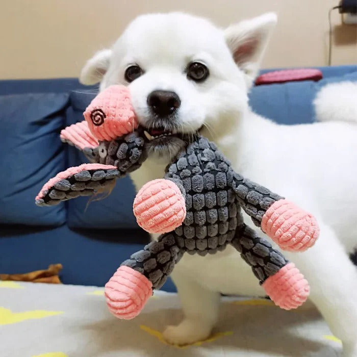 Jouet interactif durable pour animaux de compagnie