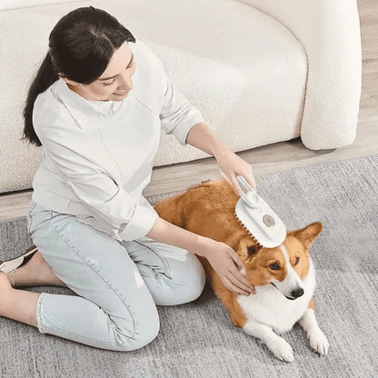 Trousse de toilettage pour animaux de compagnie avec vapeur et outil démêlant