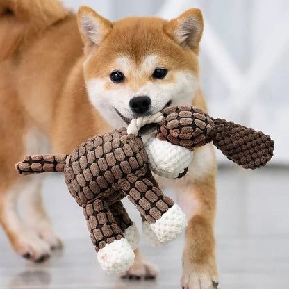 Jouet interactif durable pour animaux de compagnie
