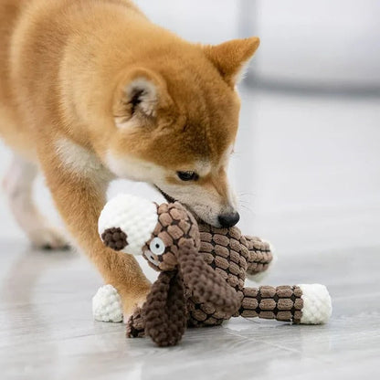 Jouet interactif durable pour animaux de compagnie