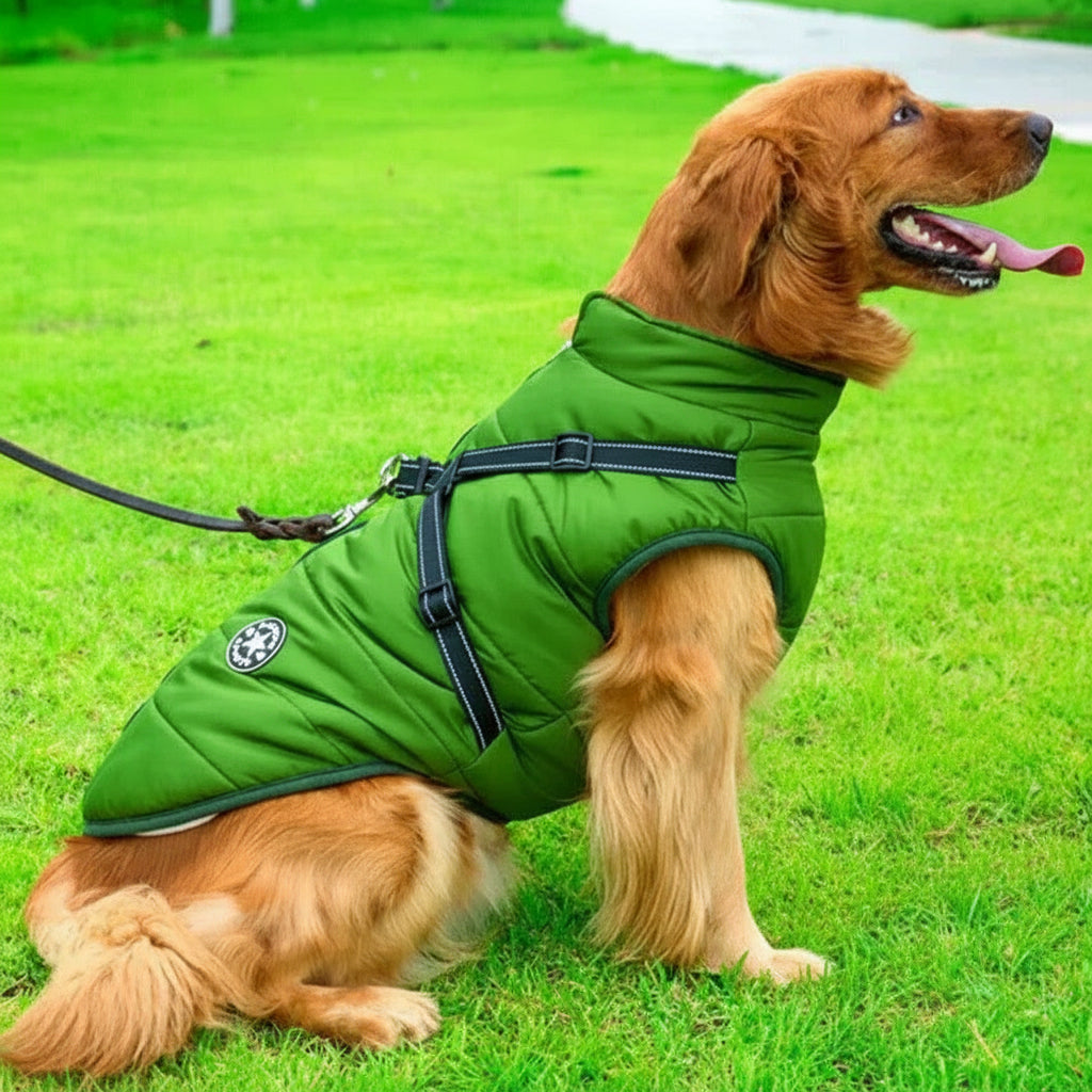 Manteau isolant chaud pour chien avec polaire et harnais intégré
