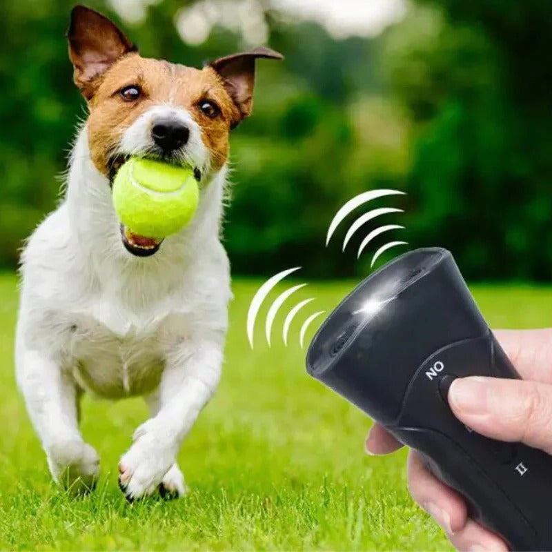 Outil efficace de dressage pour le contrôle des aboiements de chiens