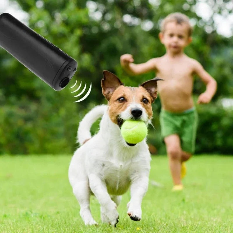 Outil efficace de dressage pour le contrôle des aboiements de chiens