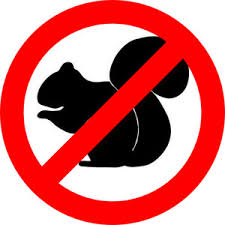 Electronic Ultrasonic Device for Deterring Squirrels in Outdoor Spaces