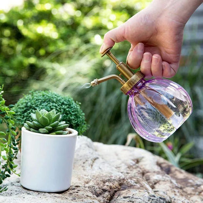 Plant Mister Spray Bottle in Vibrant Colors