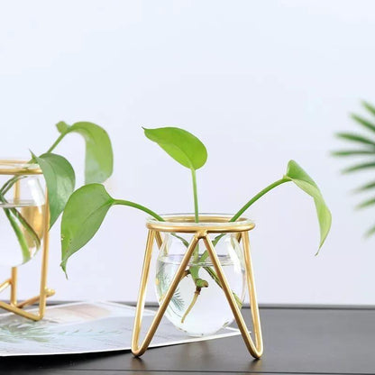 Modern Glass Plant Vase