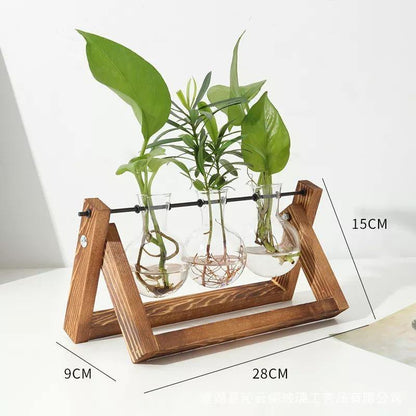 Glass Propagation Vase with A-Frame Wood Stand
