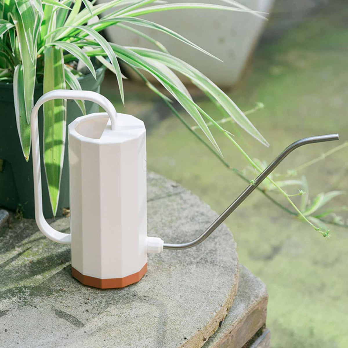 Tall Watering Can