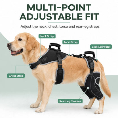 Ortekor Full-Body Dog Lift Harness with Dual Rear-Leg Support - Easier Standing, Stairs & Car Entry