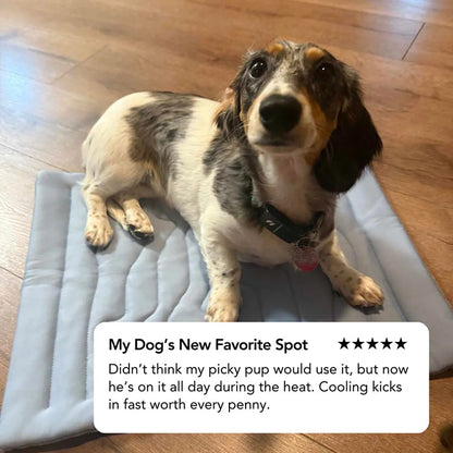 Self-Activating Pet Bed Pad for Dogs – Heat-Dissipating Resting Surface with Machine Washable Fabric & Portable Design