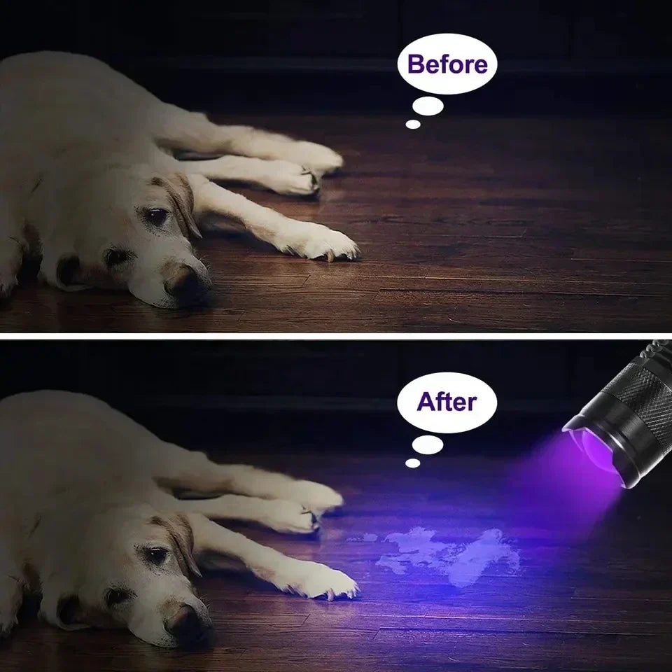 Ultraviolet Flashlight for Pet Stain Detection | UV Blacklight Torch for Carpet & Floor Inspection | Aluminum Handheld Light for Home & Prof