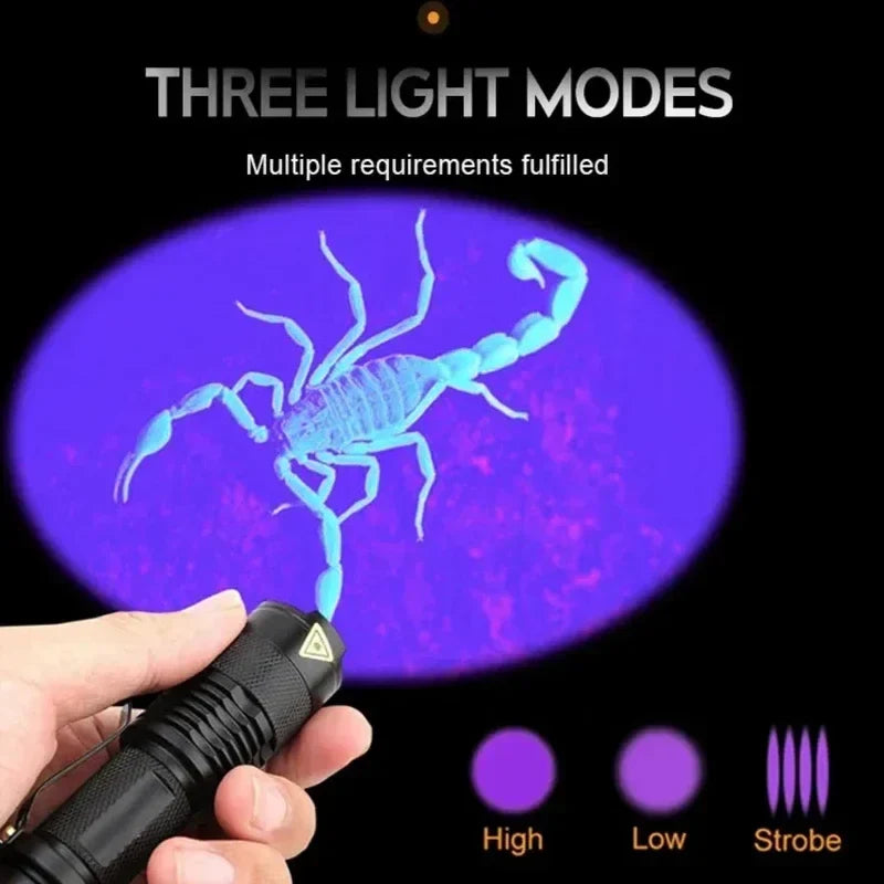 Ultraviolet Flashlight for Pet Stain Detection | UV Blacklight Torch for Carpet & Floor Inspection | Aluminum Handheld Light for Home & Prof