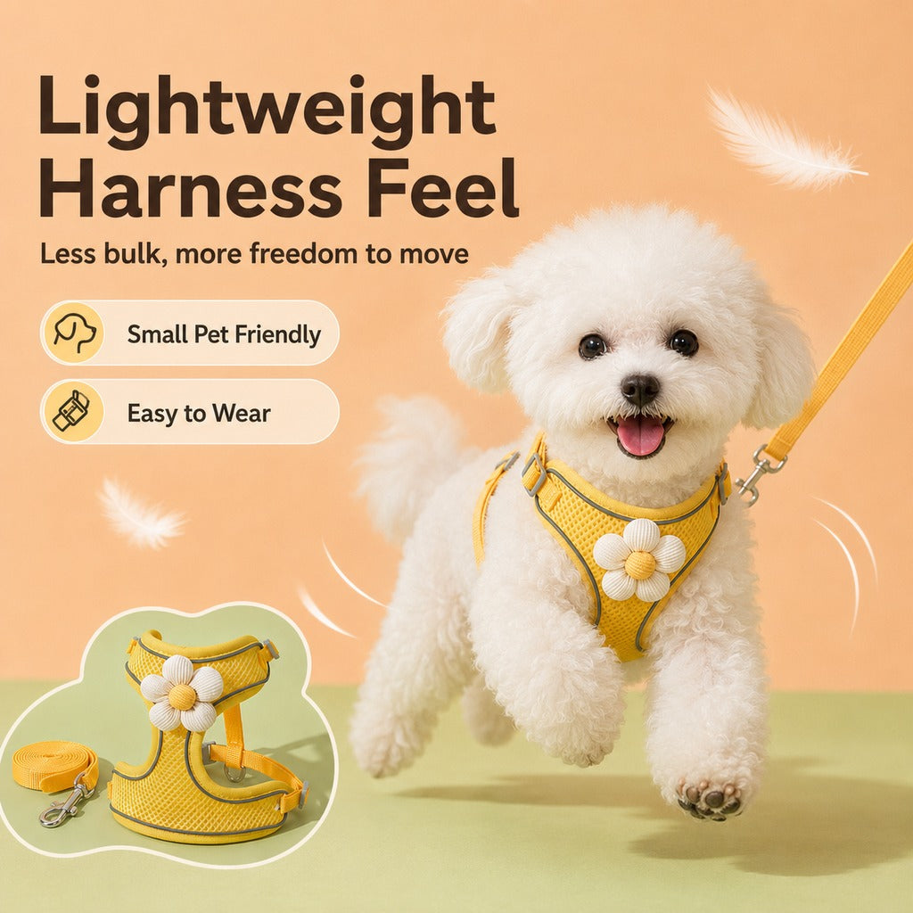 Ortekor Daisy Pet Harness & Leash Set for Daily Walks - Adjustable, Breathable Comfort for Small Dogs & Cats