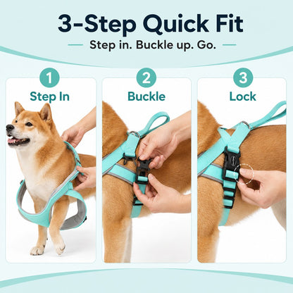 Ortekor Quick-Fit Lightweight Dog Harness & Leash Set for Daily Walks - No-Choke Step-In Comfort with Secure Buckle & Back Control Handle