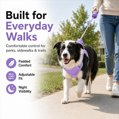 Ortekor No-Pull Reflective Dog Harness with Built-In Retractable Leash for Safer Daily Walks