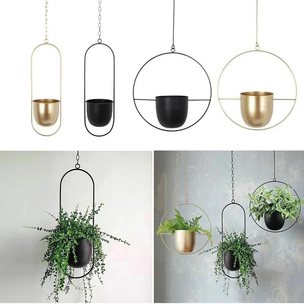 Wall-Mount Iron Planter 8 Inch Modern Floating Circle Halo Design for Succulents Herbs Indoor Outdoor Display Space-Saving Balcony Patio Apa