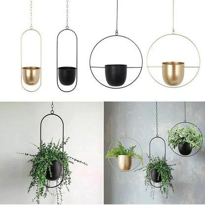 Wall-Mount Planter Pot with Circular Metal Frame for Indoor Outdoor Plants, Herbs & Succulents in Living Room, Kitchen