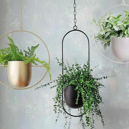 Wall-Mount Planter Pot with Circular Metal Frame for Indoor Outdoor Plants, Herbs & Succulents in Living Room, Kitchen