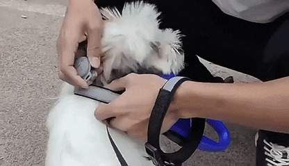 NovaTrail | GPS Dog Locator & Activity Tracker with Real-Time Updates | Lightweight Design for Pet Safety