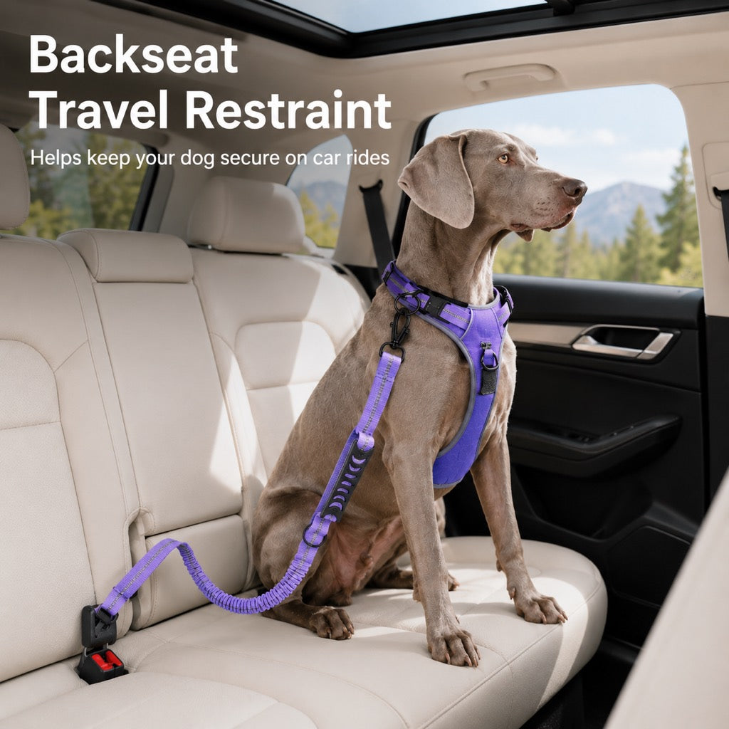 Ortekor Reflective Dog Car Seat Belt Leash for Backseat Travel & Daily Walks - Shock-Absorbing Bungee Tether to Help Reduce Pulling & Driver Distraction
