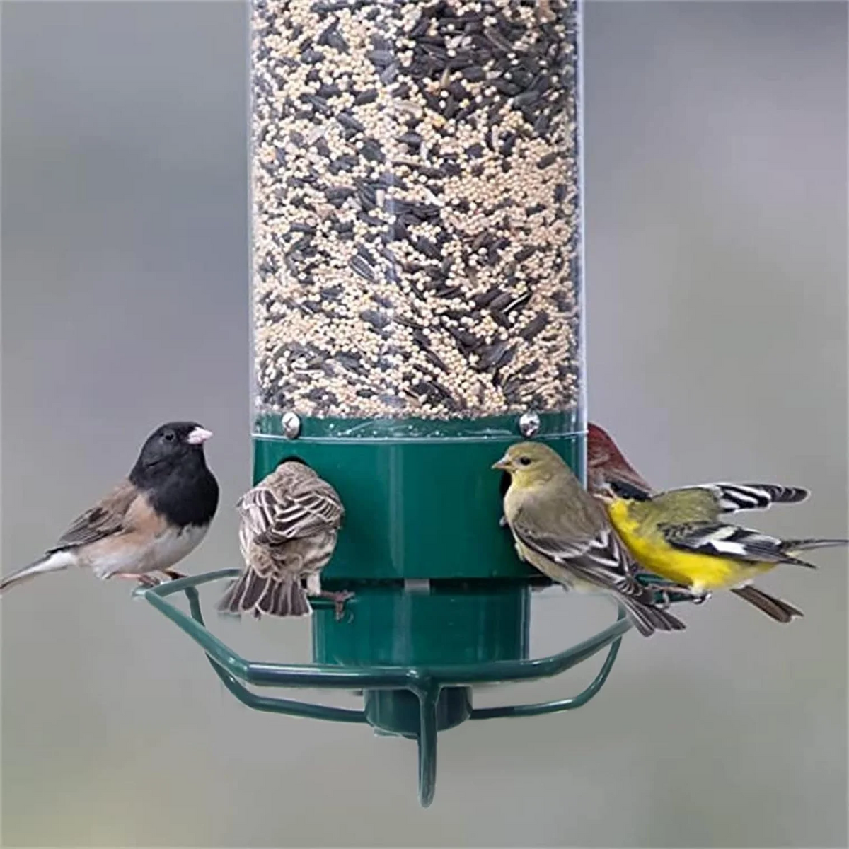 Rotating Bird Feeder with Weight-Activated Spinning Perch for Outdoor Backyard Wildlife Feeding Station