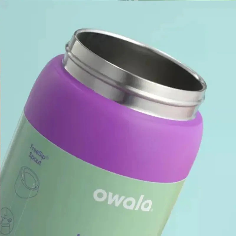 24 oz Insulated Stainless Steel Water Bottle with Dual-Sip Lid and Carry Handle for Sports, Gym, Hiking & Everyday Hydration
