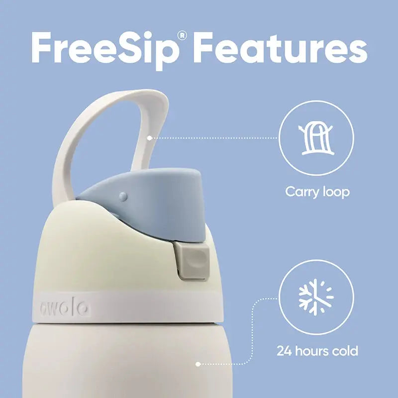 24 oz Insulated Stainless Steel Water Bottle with Dual-Sip Lid and Carry Handle for Sports, Gym, Hiking & Everyday Hydration