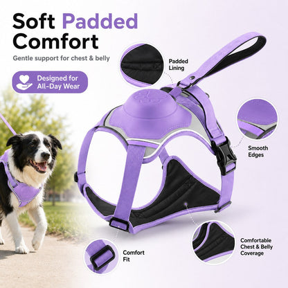 Ortekor No-Pull Reflective Dog Harness with Built-In Retractable Leash for Safer Daily Walks