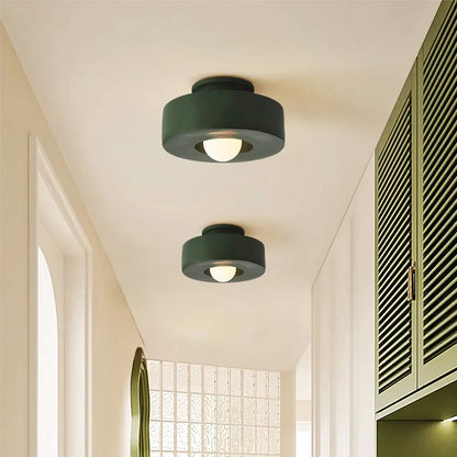Resin Pendant Light 12 in Diameter LED Fixture Black Red Green Overhead Lighting Kitchen Dining Room Hallway Decor Minimalist Hanging Lamp