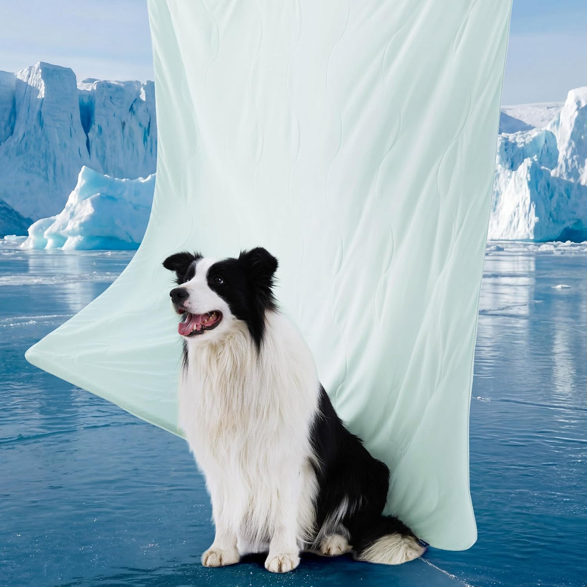 Cozy Paws | Couverture rafraîchissante pour grands chiens avec garnissage respirant Air-Core | Tapis pour chien léger et lavable pour le confort estival
