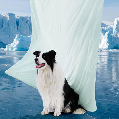 Cozy Paws | Couverture rafraîchissante pour grands chiens avec garnissage respirant Air-Core | Tapis pour chien léger et lavable pour le confort estival