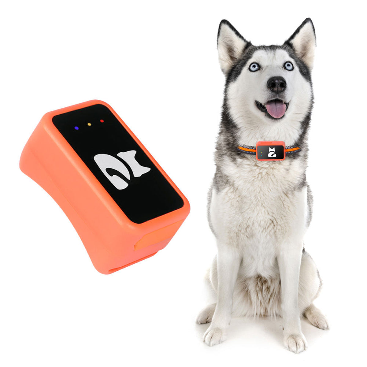 Real-Time Cat & Dog Location Monitor with Geo-Fence Alerts – Lightweight Wearable Pet Finder for Indoor & Outdoor Safety