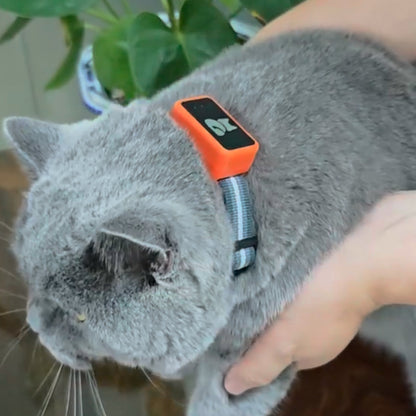 Real-Time Cat & Dog Location Monitor with Geo-Fence Alerts – Lightweight Wearable Pet Finder for Indoor & Outdoor Safety
