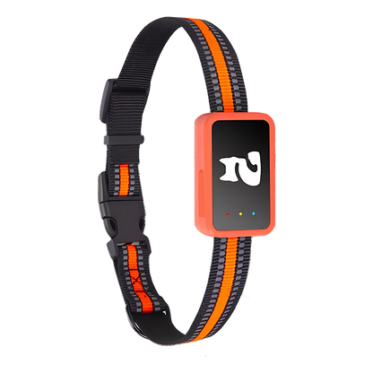 Real-Time Cat & Small Dog Location Monitor with Geo-Fence Alerts, Activity Tracking & No Monthly Fees – Subscription-Free Pet Safety