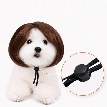 Ortekor Funny Short Bob Pet Wig for Photos & Parties - Easy Costume Prop for Cats & Small Dogs