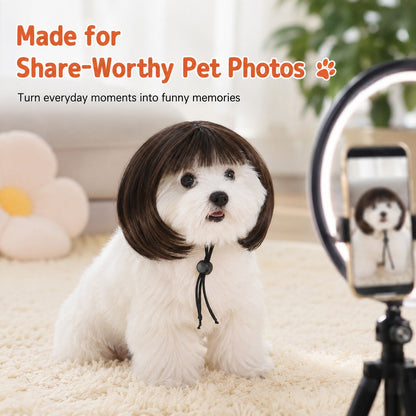 Ortekor Funny Short Bob Pet Wig for Photos & Parties - Easy Costume Prop for Cats & Small Dogs