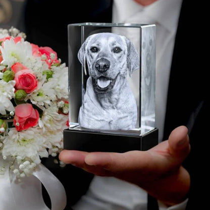 Cadre photo en cristal personnalisable pour animaux de compagnie