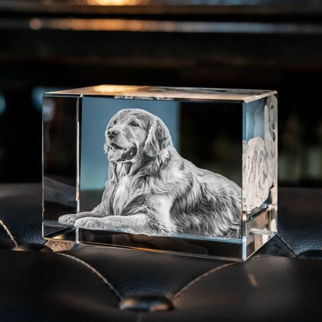 Cadre photo en cristal personnalisable pour animaux de compagnie