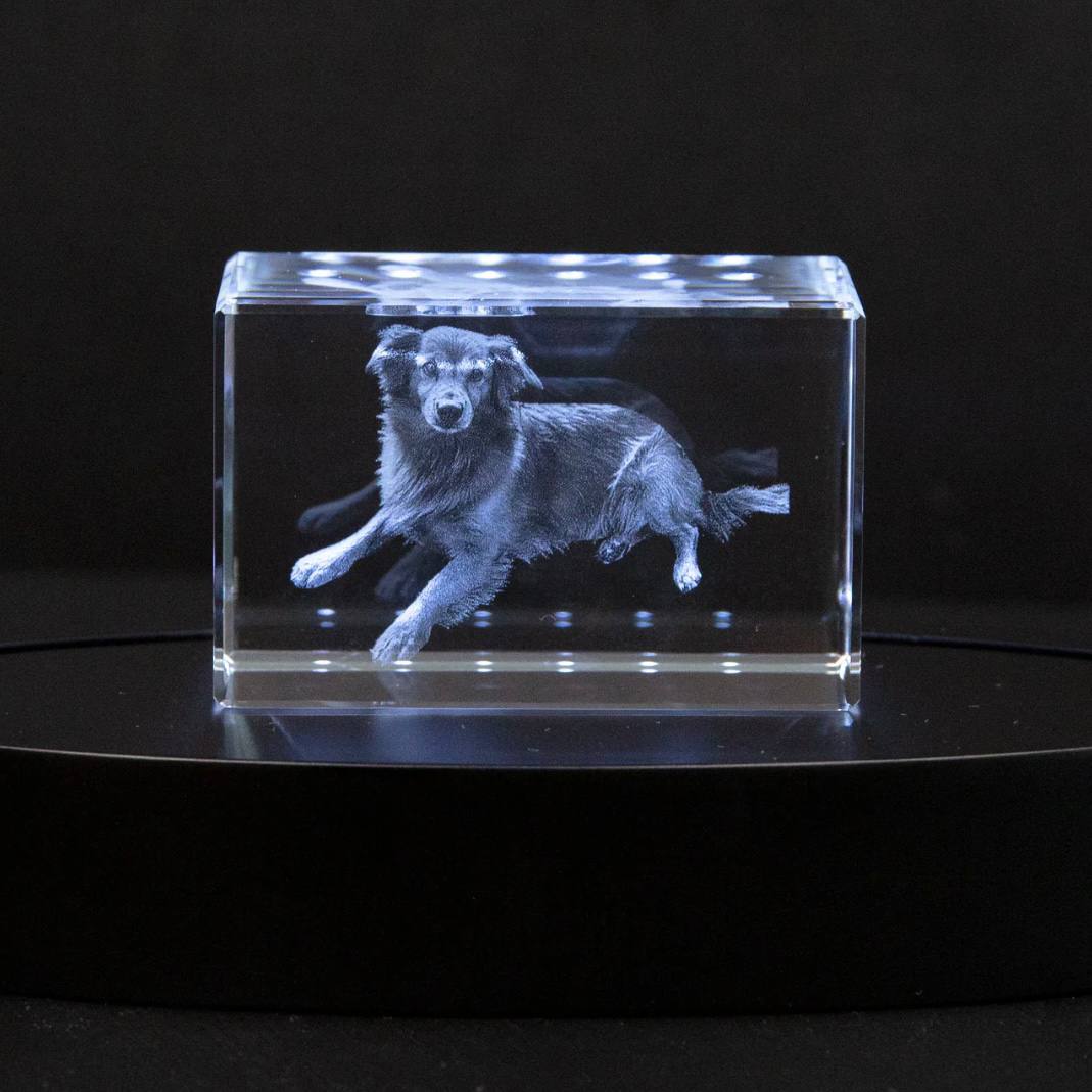 Cadre photo en cristal personnalisable pour animaux de compagnie