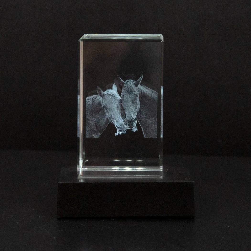 Cadre photo en cristal personnalisable pour animaux de compagnie