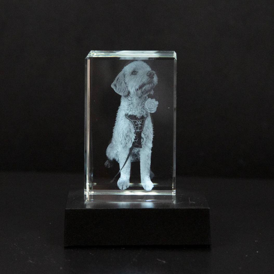 Cadre photo en cristal personnalisable pour animaux de compagnie
