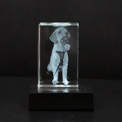 Cadre photo en cristal personnalisable pour animaux de compagnie