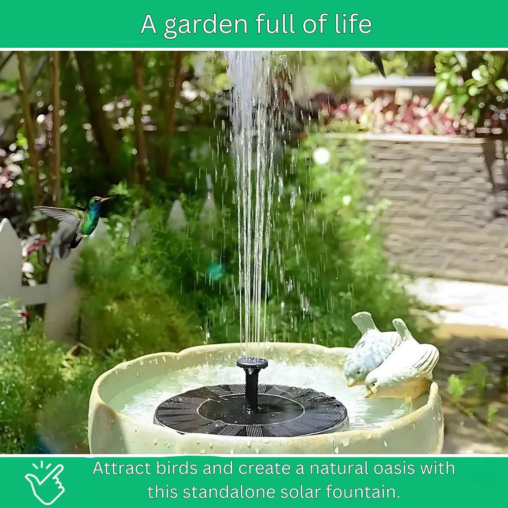 Petit plan d'eau autonome pour jardin