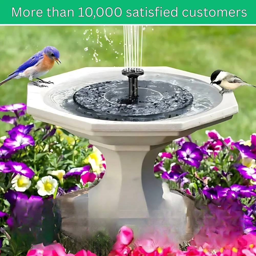 Petit plan d'eau autonome pour jardin
