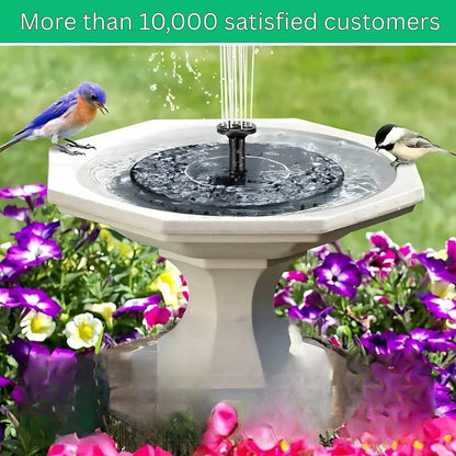 Petit plan d'eau autonome pour jardin
